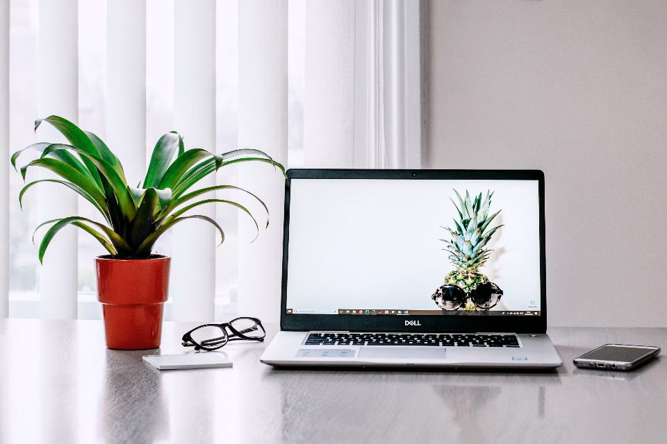 Notebook aberto sobre uma mesa clara, ao lado de um vaso com planta